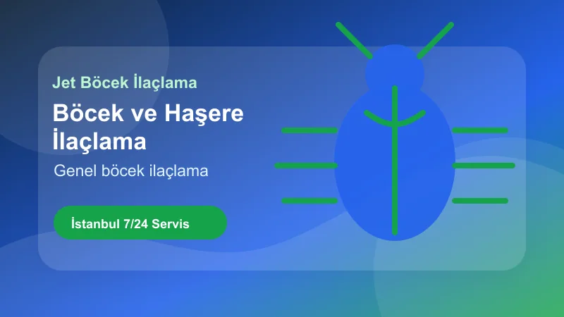 İstanbul böcek ve haşere ilaçlama hizmeti için profesyonel uygulama görseli