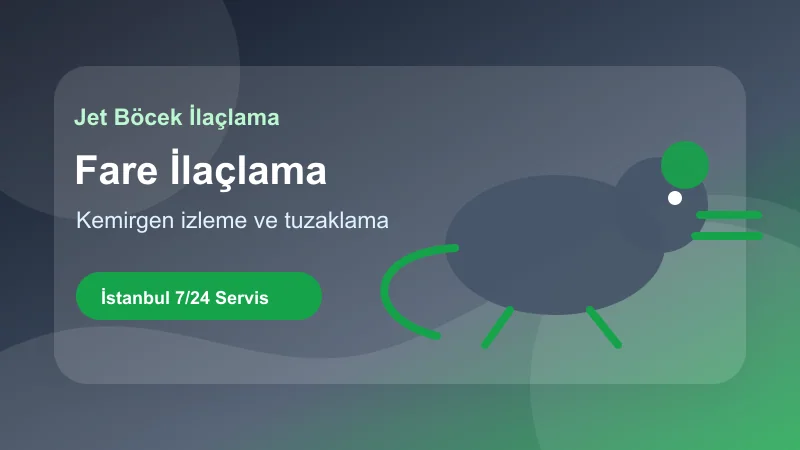 İstanbul fare ilaçlama hizmetinde güvenli kemirgen mücadele uygulaması görseli