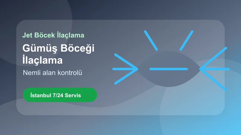 İstanbul gümüş böceği ilaçlama hizmetinde nemli alan kontrolü görseli