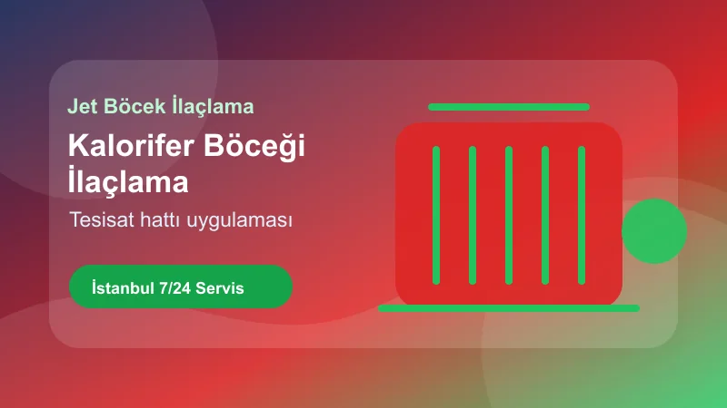 İstanbul kalorifer böceği ilaçlama hizmetinde tesisat hattı kontrolü görseli