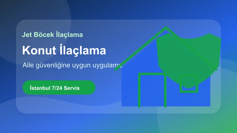İstanbul konut ilaçlama hizmetinde aile güvenliğine uygun uygulama görseli