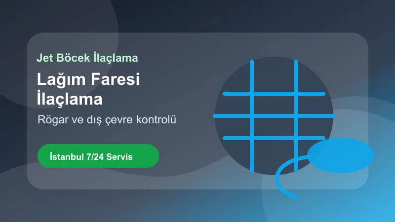 İstanbul lağım faresi ilaçlama hizmetinde rögar ve dış çevre kontrolü görseli
