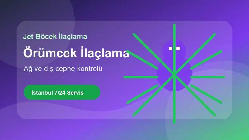 İstanbul örümcek ilaçlama hizmetinde ağ ve dış cephe kontrolü görseli